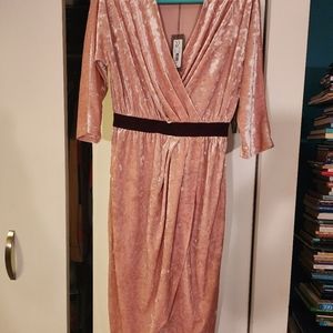 Light Pink Velvet Wrap Dress - Eva Mendes Collection by New York and Company